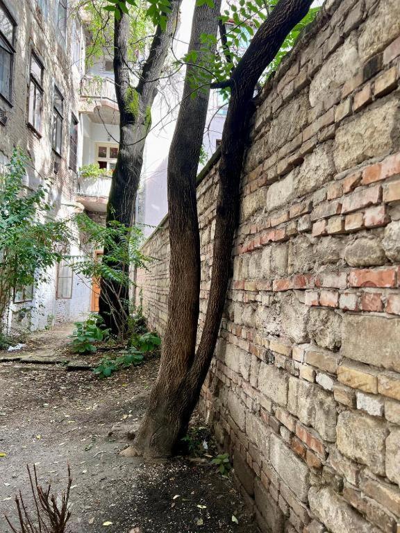 Apartmán Gozsdu Court La Fontaine *